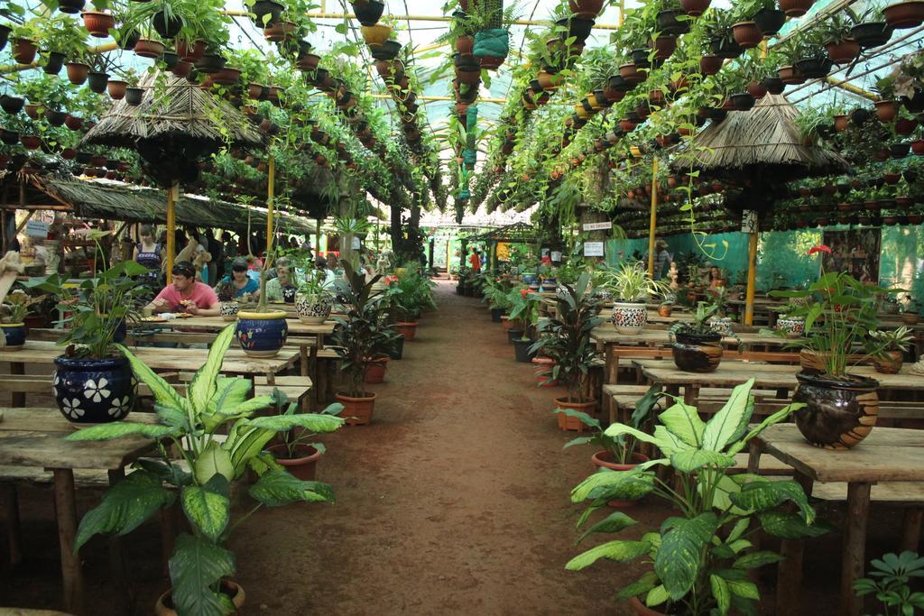 Jungle Book Resort Collem Экстерьер фото
